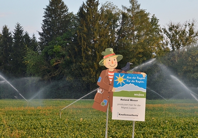 Der Knollensellerie hat grossen Durst: Eine direkte Pumpleitung aus der Reuss bei Ottenbach. <em>(Bild Martin Mullis)</em>