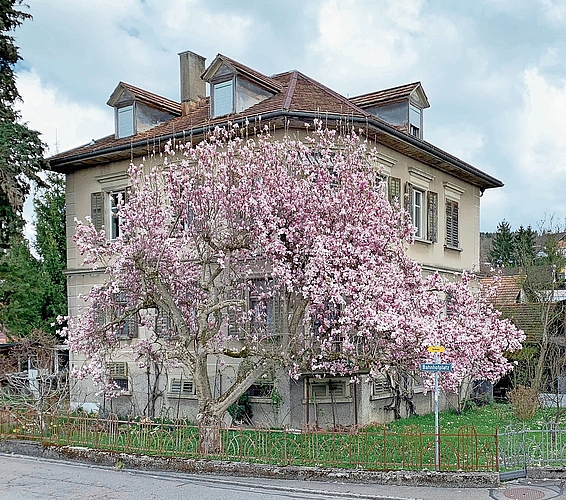 Das Magnolienhaus, nach dem das Quartier benannt ist. (Bild Erika Schmid-Hauser)