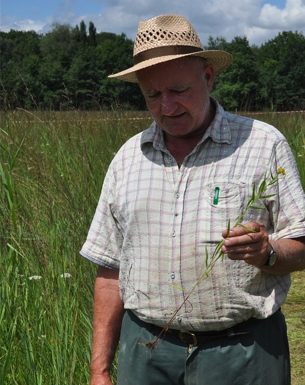 «Ich bin stolz darauf, Landschaft positiv beeinflussen zu dürfen». Hans Peter Hediger im Einsatz gegen Neophyten in Obfelden. (Bild Thomas Stöckli)
