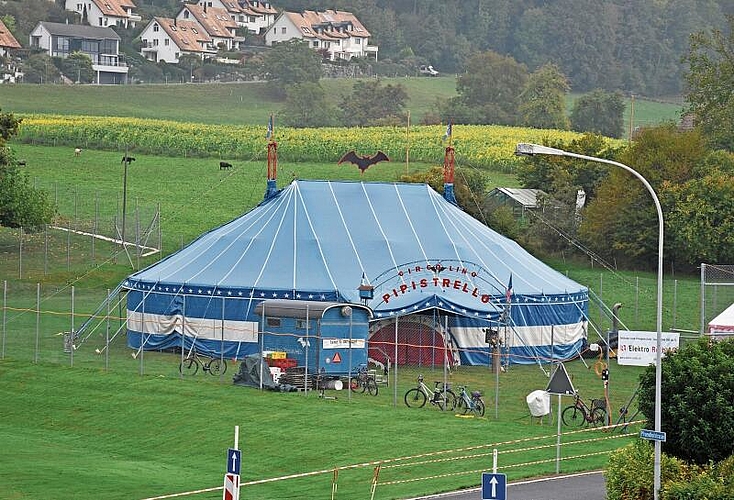Auf der Butzenwiese in Affoltern steht diese Woche das Zirkuszelt des «Circolino Pipistrello».  (Bilder Dominik Stierli)