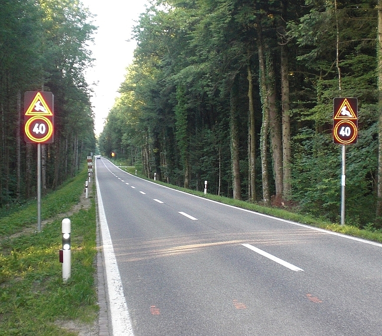 In anderen Kantonen haben sich elektronische Wildwarnanlagen, wie hier in Murgental, Kanton Aargau, bereits bewährt. (Bild Calstrom)
