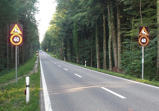 In anderen Kantonen haben sich elektronische Wildwarnanlagen, wie hier in Murgental, Kanton Aargau, bereits bewährt. (Bild Calstrom)