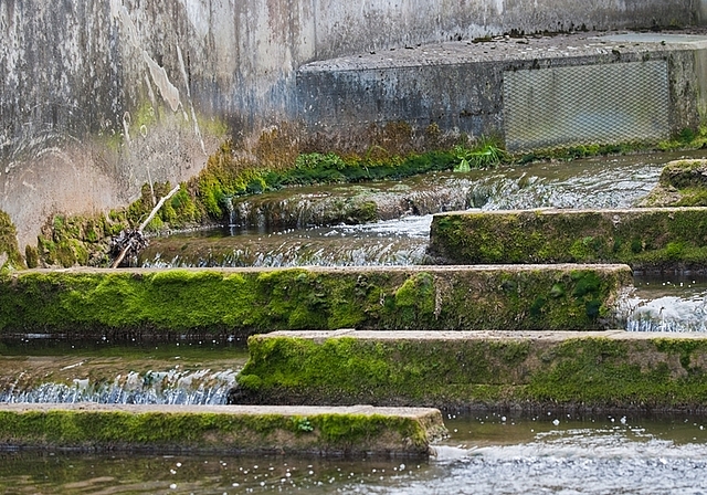 Der Jonenbach, hier beim Ausfluss aus dem Wasserrückhaltebecken in Affoltern, führt nur noch einen kleinen Teil der ursprünglichen Wassermenge. (Bild Salomon Schneider)
