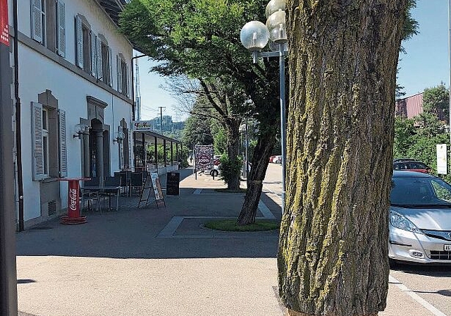 Das Ringeln des Stammes: Todesurteil für die Bäume auf dem Bahnhofplatz Hedingen. (Bild Christine Häusermann)