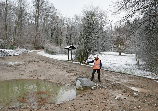Barbara Krummenacher zeigt das Projekt zur Moorregeneration bei Bisliken Nord und Munimatten. (Bilder Claudia Eugster)