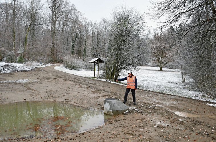 Barbara Krummenacher zeigt das Projekt zur Moorregeneration bei Bisliken Nord und Munimatten. (Bilder Claudia Eugster) Barbara Krummenacher zeigt das Projekt zur Moorregeneration bei Bisliken Nord und Munimatten. (Bilder Claudia Eugster)