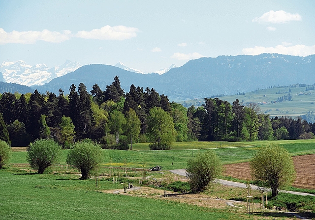 Blick von Rifferswil nach Süden: Die Stadt Zürich war offensichtlich nicht daran interessiert, ihre Herrschaft in die Alpentäler südlich von Zug auszudehnen.(Bild Bernhard Schneider)