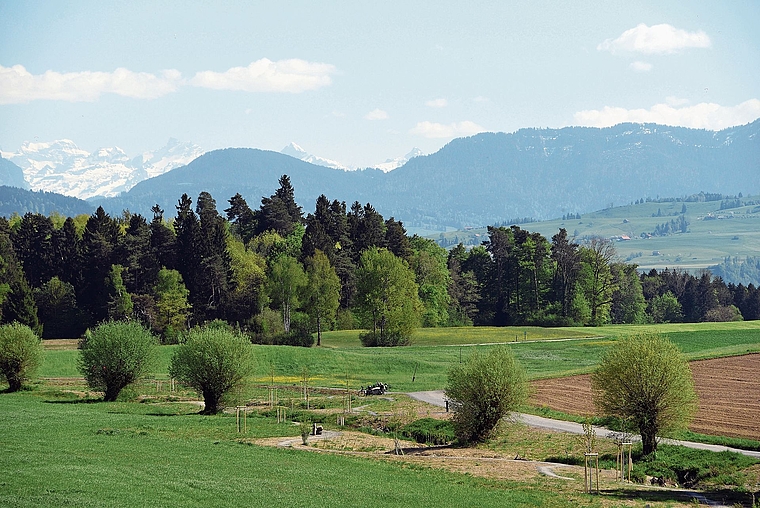 Blick von Rifferswil nach Süden: Die Stadt Zürich war offensichtlich nicht daran interessiert, ihre Herrschaft in die Alpentäler südlich von Zug auszudehnen.(Bild Bernhard Schneider)