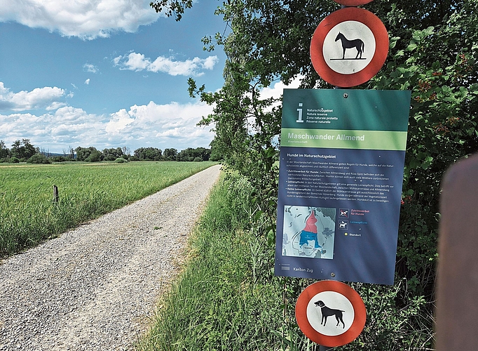 Nördlich des Allmendwegs bis «Rüssspitz»: Zutrittsverbot für Hunde und Pferde. Nördlich des Allmendwegs bis «Rüssspitz»: Zutrittsverbot für Hunde und Pferde.