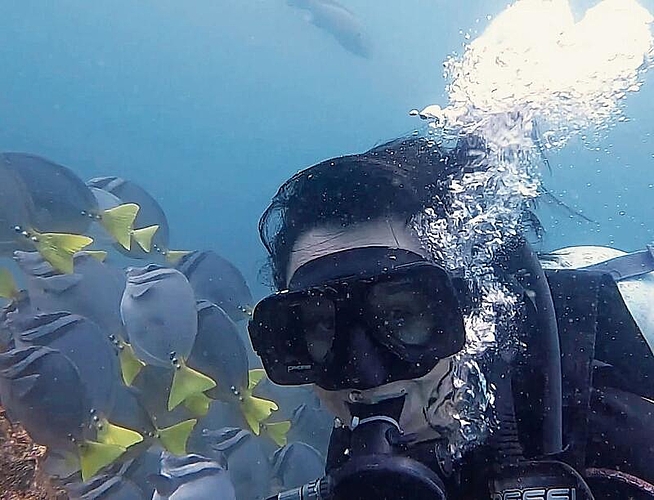 Seline Brodmann ist vor den Galápagos-Inseln auch in die Unterwasserwelt abgetaucht. (Bild zvg.)