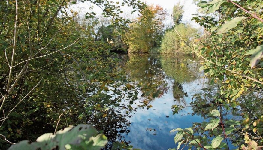 Der Lochenweiher am Ortsrand von Bonstetten. Die Gemeinde möchte dort eine Bademöglichkeit schaffen. Im September kann das Volk entscheiden. (Bild fh)