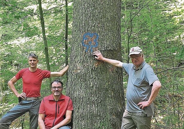 Die «dicke Berta» ist für eine Patenschaft bestimmt. Von links: die Förster Stefan Burch und Robi Püntener sowie Gemeinderat Bruno Fuchs. (Bild Marianne Voss)