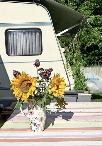 Tischtuch, Vase, Blumen: Alles ist da – wie zu Hause.