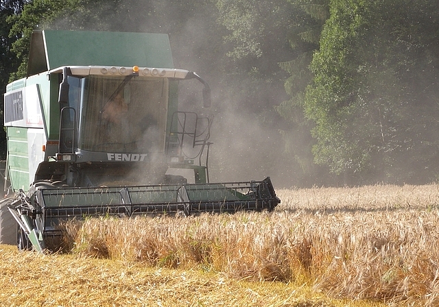 Die Mähdrescher fahren für die Gerstenernte bereits seit Mitte Juni. <em>(Bild Marianne Voss)</em>