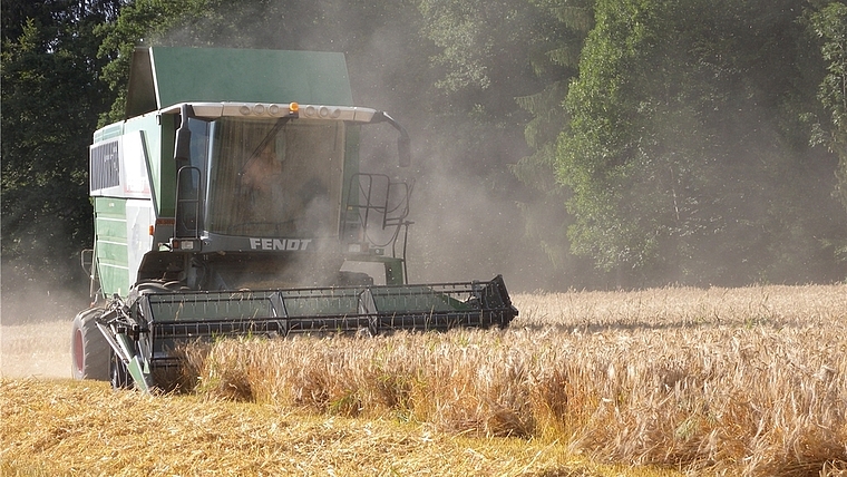 Die Mähdrescher fahren für die Gerstenernte bereits seit Mitte Juni. <em>(Bild Marianne Voss)</em>