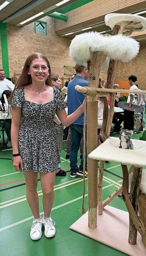 Leonie Häberling baute einen grossen Katzenbaum zusammen.