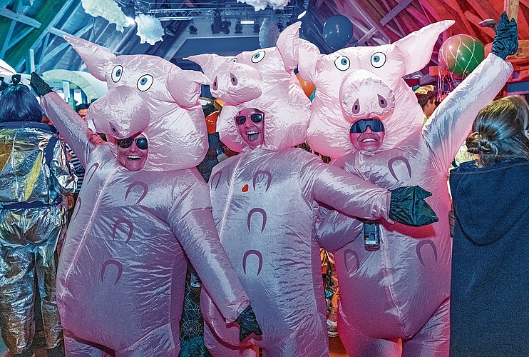 Die Schweine vom Hirzel sind los und fanden ihren Weg nach Kappel. Die Schweine vom Hirzel sind los und fanden ihren Weg nach Kappel. (Bild Nico Ilic)