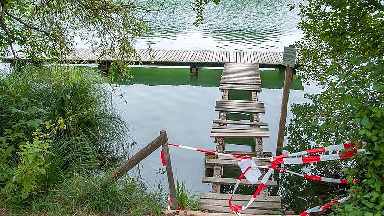 Vandalen haben bei einem alten Holzsteg Latten herausgerissen und auch die Sicherheitsabsperrung zerstört. (Bild sals)