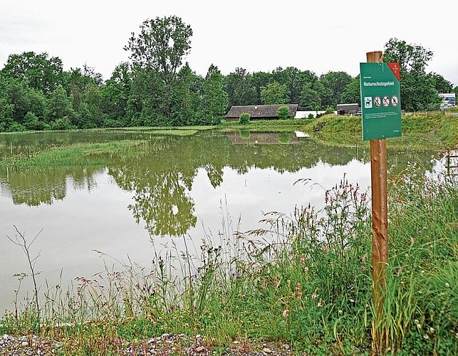 Überflutetes Naturschutzgebiet an der Reuss in Ottenbach. (Bild Werner Schneiter)