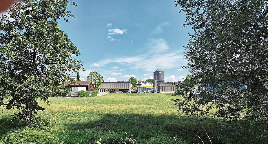 In der Petition wird eine Alternative für den Bau des neuen Schulhauses ins Spiel gebracht: das 6000 Quadratmeter grosse Areal, das an die Überbauung Brauipark grenzt. (Bilder Werner Schneiter)