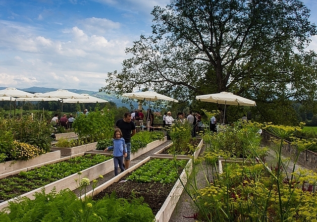 In den Hochbeeten des Gemüsegartens wachsen gefährdete Kulturpflanzen. (<em>Bilder Astrid Romer)</em>