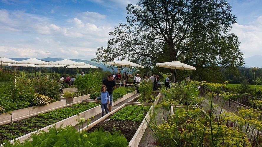 In den Hochbeeten des Gemüsegartens wachsen gefährdete Kulturpflanzen. (<em>Bilder Astrid Romer)</em>
