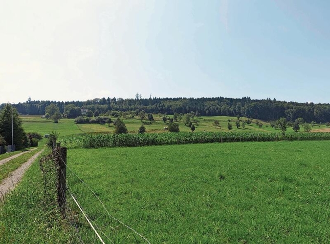 Das Eignungsgebiet Nummer 51 ist der bewaldete Hügel Birch zwischen Bonstetten und Hedingen, hier von der Chapfstrasse Bonstetten aus gesehen. (Bilder Marcus Weiss)