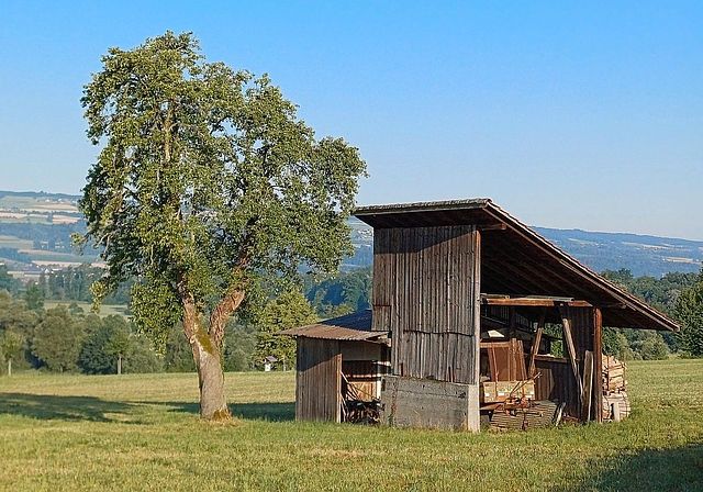 Kabäuschen in Mettmenstetten. (Bild Regula Zellweger)