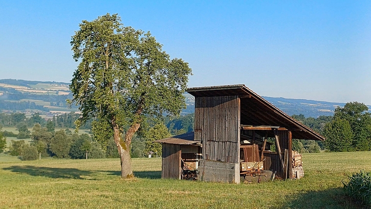 Kabäuschen in Mettmenstetten. (Bild Regula Zellweger)