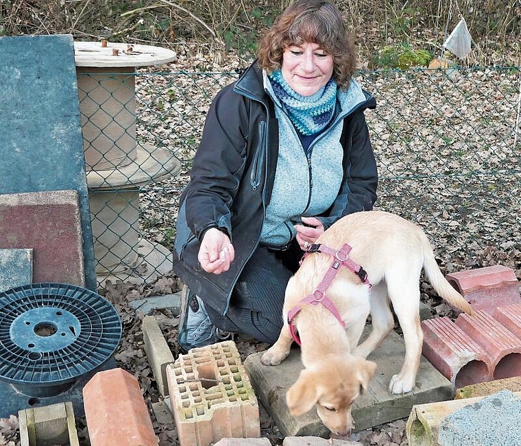 Die kleine Sanna lernt im Welpen-Kurs in einer anspruchsvollen Umgebung spielerisch, Leckerli zu suchen. Irène Kleiner liebt die «Nasenarbeit» mit den Hunden. (Bild Regula Zellweger)