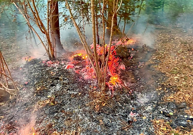 Das Feuer nahm eine Fläche von rund fünf Quadratmetern ein. (Bild zvg)