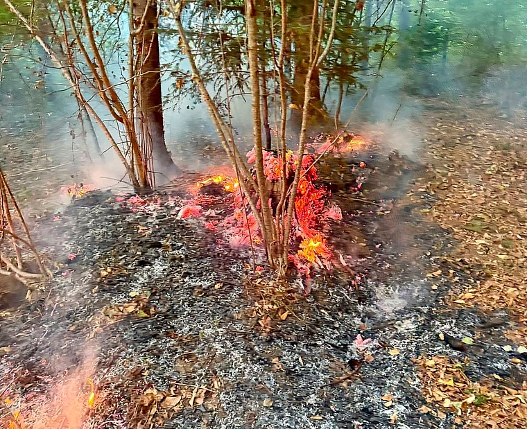 Das Feuer nahm eine Fläche von rund fünf Quadratmetern ein. (Bild zvg)