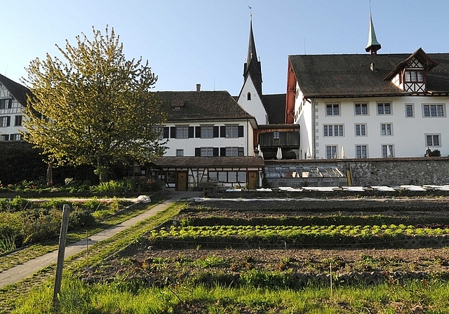 Im Bio-Klostergarten werden Gemüse, Setzlinge und auch verschiedene seltene, alte und schützenswerte Pflanzenarten angebaut. (Bild zvg.)