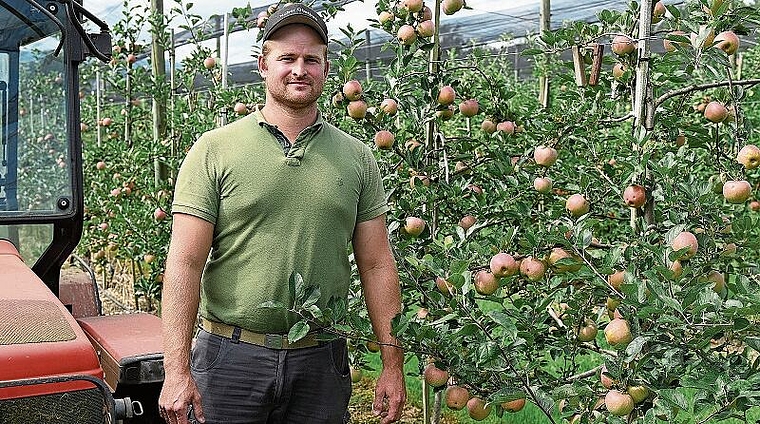 Musste in Obfelden nur kleinere Hagelschäden feststellen: Obstbauer Stefan Huber. (Bild Martin Mullis)