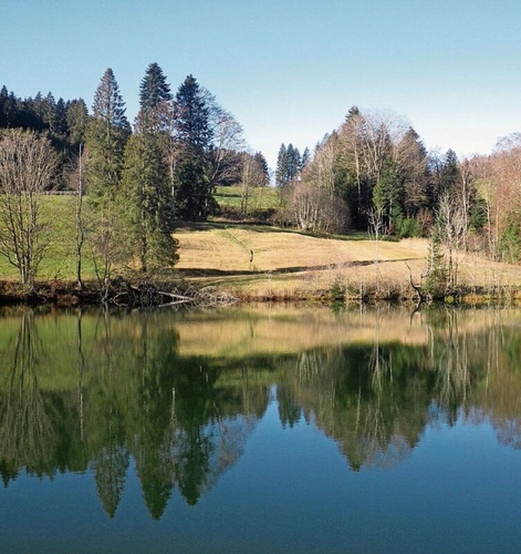 Spiegelnder Weiher im Tösstal. «Unterhalb vom Bachtel ist der naturnahe Weiher von Schilf und Büschen umgeben.»