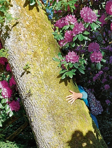 Die Natur mit allen Sinnen erfassen, beispielsweise achtsam eine Baumrinde zu ertasten, bedeutet Naturerleben pur. Die Natur mit allen Sinnen erfassen, beispielsweise achtsam eine Baumrinde zu ertasten, bedeutet Naturerleben pur.