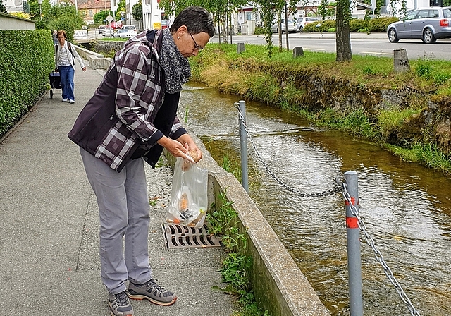 Raumpatinnen oder Raumpaten übernehmen die Verantwortung für ein von ihnen selbst festgelegtes Gebiet und säubern dieses regelmässig. <em>(Bild zvg.)</em>