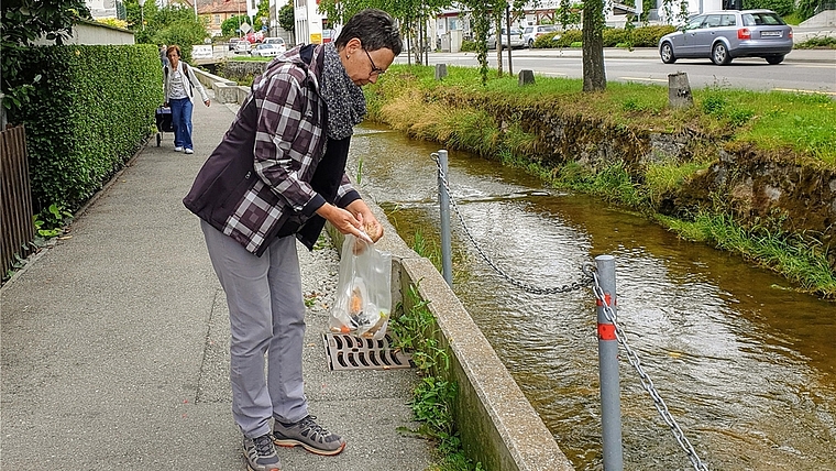 Raumpatinnen oder Raumpaten übernehmen die Verantwortung für ein von ihnen selbst festgelegtes Gebiet und säubern dieses regelmässig. <em>(Bild zvg.)</em>