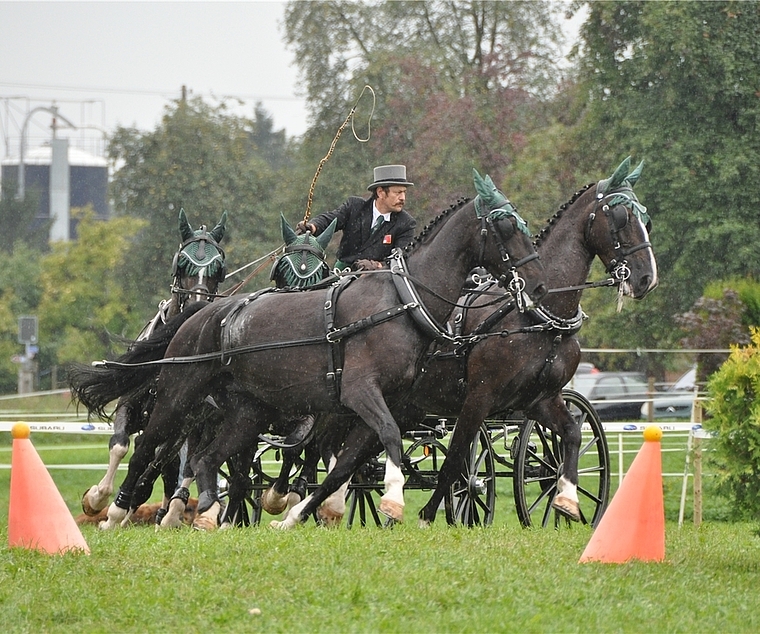 Elegantes Gespann und Dynamik: Hansheiri Weiss beim 1. nationalen Fahrturnier in Zwillikon. (Archivbild)