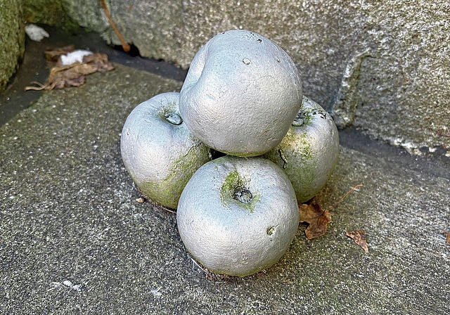 Fehlt hier eventuell ein Apfel – oder ist das eine Täuschung? (Bild zvg)