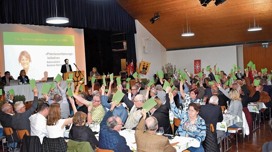 Abstimmung mit dem grünen Stimmausweis. Am Rednerpult der Kantonalpräsident Domenik Ledergerber. (Bilder Marianne Voss)