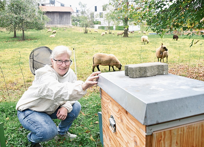 Manuela Gasser kontrolliert ihre Völker auf Beflug der Asiatischen Hornisse. (Bild Werner Schneiter)