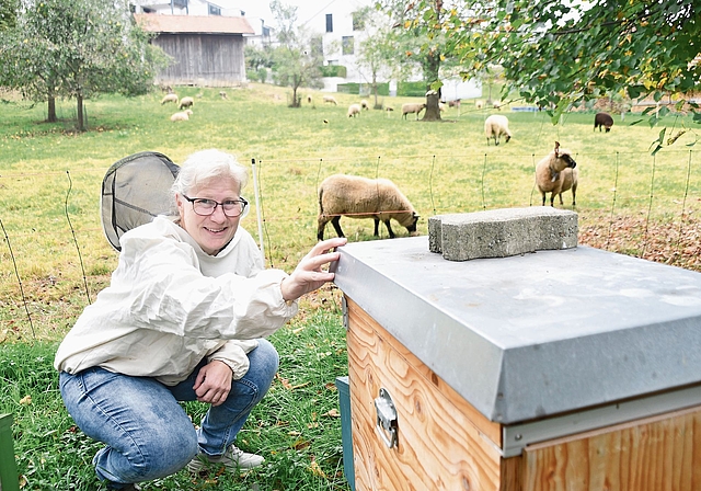 Manuela Gasser kontrolliert ihre Völker auf Beflug der Asiatischen Hornisse. (Bild Werner Schneiter)