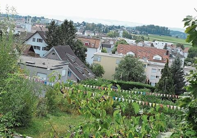 Blick auf Affoltern vom Sonnenberg her. Das Säuliamt ist eine beliebte Wohn- und Gewerberegion, gute Verkehrs­anschlüsse, interessantes Kulturangebot, Naherholungsgebiet: Gründe, dass Wohnraum knapp wird. (Bild Salomon Schneider)