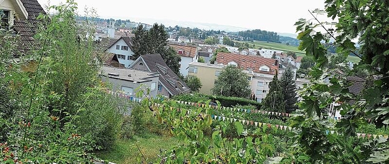 Blick auf Affoltern vom Sonnenberg her. Das Säuliamt ist eine beliebte Wohn- und Gewerberegion, gute Verkehrsanschlüsse, interessantes Kulturangebot, Naherholungsgebiet: Gründe, dass Wohnraum knapp wird. (Bild Salomon Schneider)