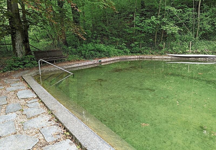 Der Naturpool wurde schon beim Bau des «Mösli» angelegt. Ein Bach hält das Wasser auch ohne Chlor immer frisch.
