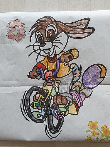 Eleya Kronenberg ist 5 Jahre als, wohnt in Obfelden und hat diesen Osterhasen so schön ausgemalt.