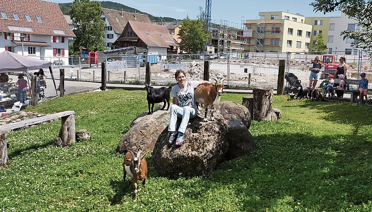Das Geissen-Gehege am Breitenweg 4 erfreut sich grosser Beliebtheit und ist einer der immer rarer werdenden grünen Flecken in Affoltern (Mitte: Valérie John mit Geissbock Caramello, Nick (schwarze Ziege) und Alejandro). Dahinter das künftige Schö
