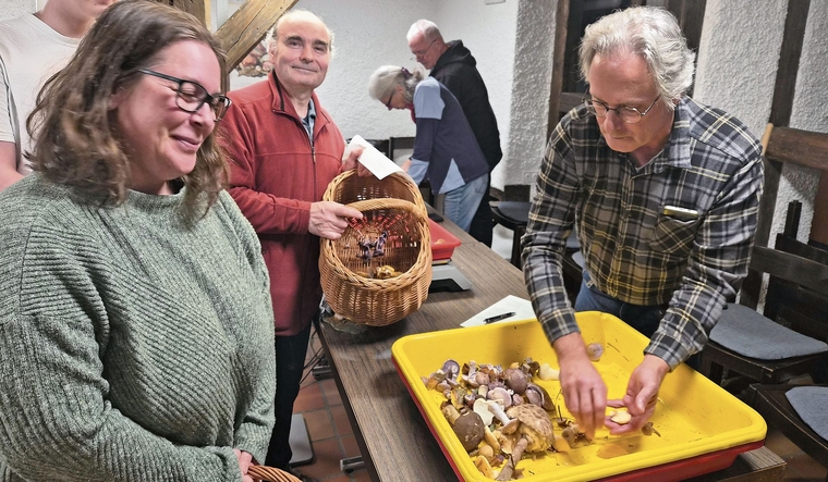 Kontrolleur Hansjörg Birrer sichtet die von der Sammlerin mitgebrachten Pilzarten. (Bild Werner Schneiter)