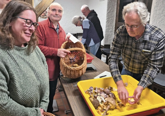 Kontrolleur Hansjörg Birrer sichtet die von der Sammlerin mitgebrachten Pilzarten. (Bild Werner Schneiter)